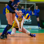 võrkpall