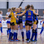 võrkpall
