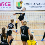 võrkpall