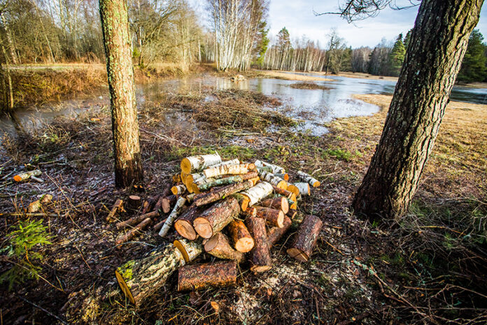 järtad